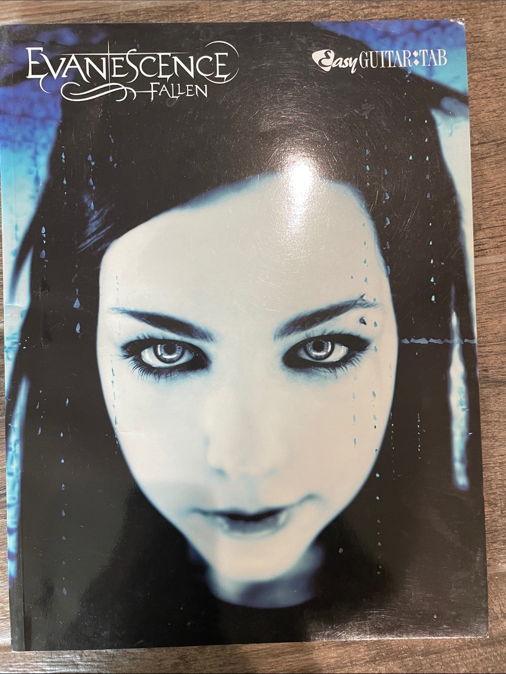 Warner Bros. Evanescence Fallen Cover - Blue and Black Gothic Portrait